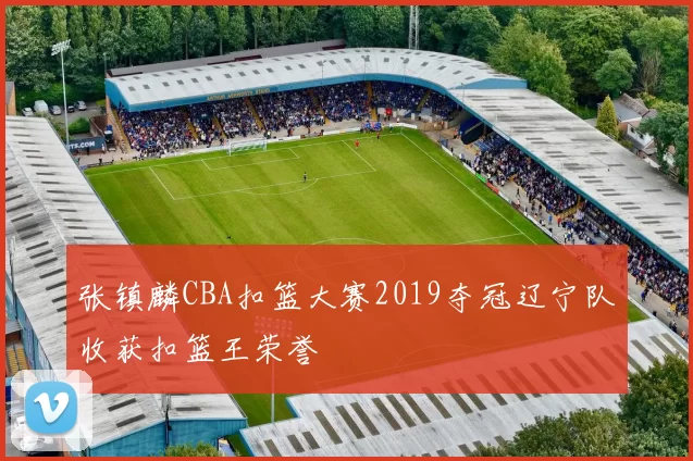 张镇麟CBA扣篮大赛2019夺冠辽宁队收获扣篮王荣誉