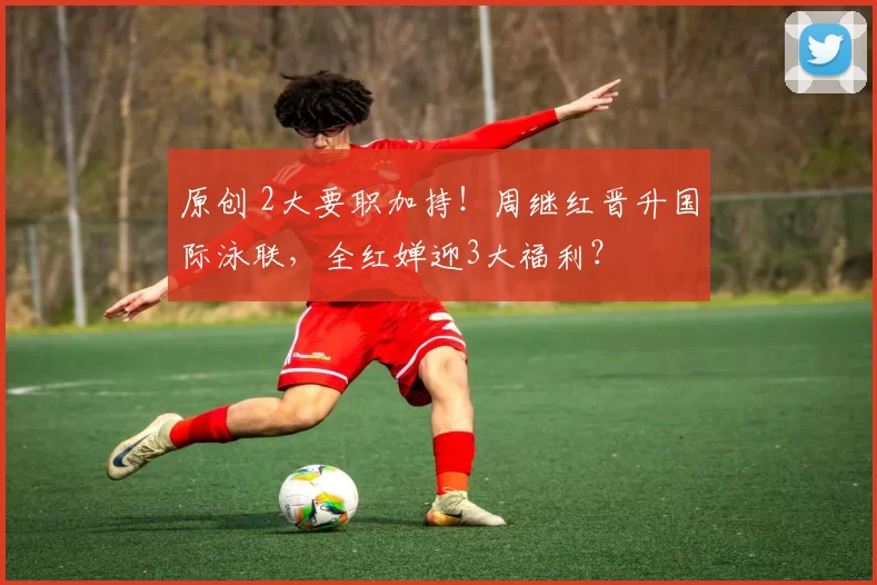 原创 2大要职加持！周继红晋升国际泳联，全红婵迎3大福利？