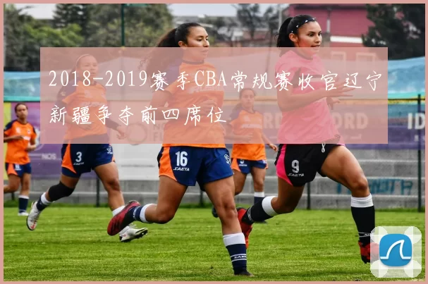 2018-2019赛季CBA常规赛收官辽宁新疆争夺前四席位