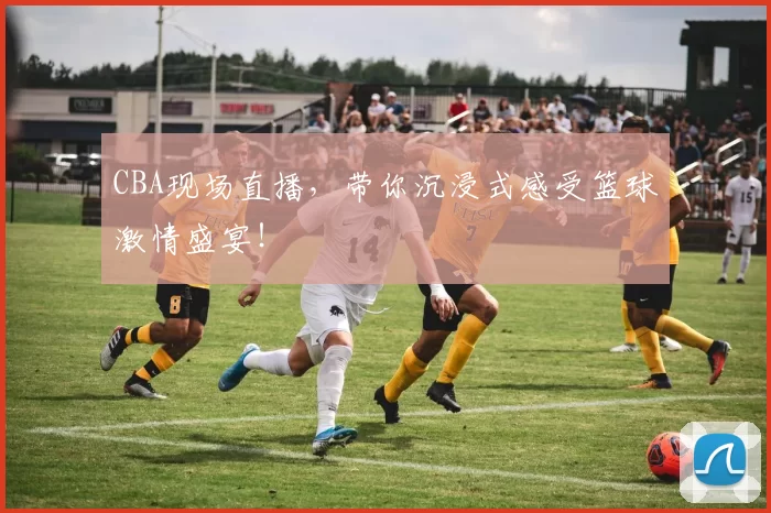 CBA现场直播，带你沉浸式感受篮球激情盛宴！