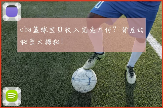 cba篮球宝贝收入究竟几何？背后的秘密大揭秘！